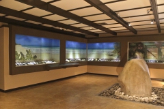 Arqueologia Indigena Sala 1